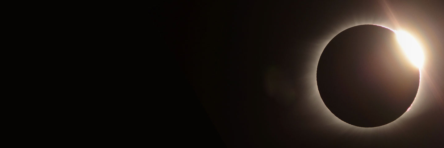 Do the Lights Go Out When Brands Go Dark? (Summary)