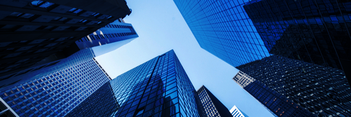 The 1st Annual Organizational Benchmark Survey—Agency Report