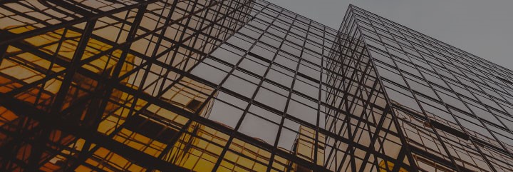 The 1st Annual Organizational Benchmark Survey—The Consultancy Report