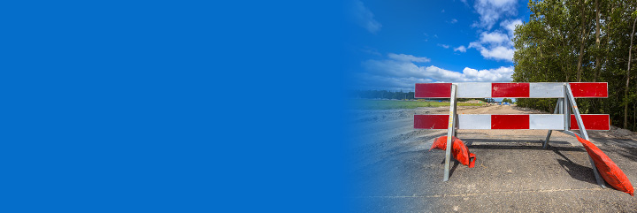 Is Roadblock Advertising Worth the Substantial Cost?